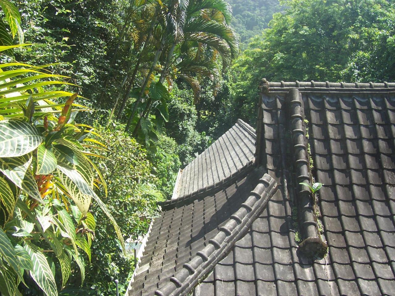 Casa Sao Conrado Hotel Rio de Janeiro Exterior photo